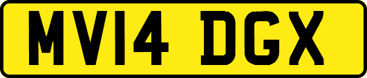 MV14DGX