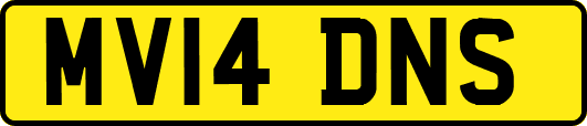 MV14DNS