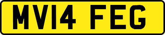 MV14FEG