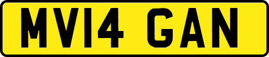 MV14GAN