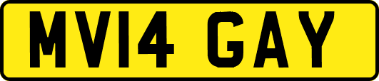 MV14GAY