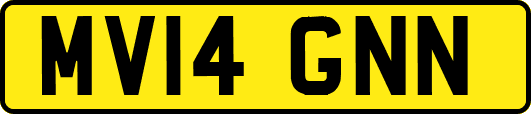 MV14GNN