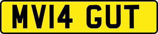 MV14GUT