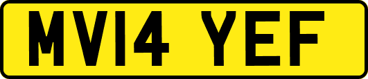 MV14YEF