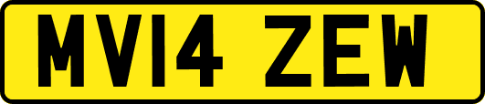 MV14ZEW