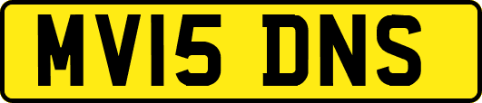 MV15DNS