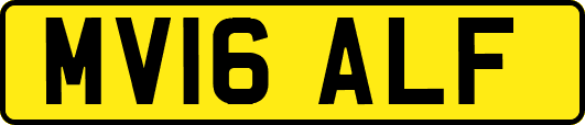 MV16ALF