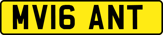 MV16ANT