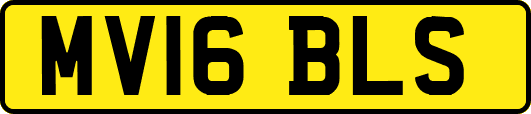 MV16BLS
