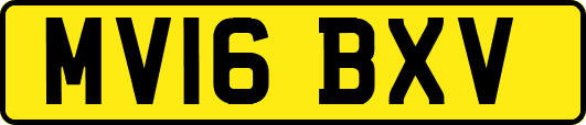 MV16BXV
