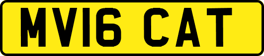 MV16CAT