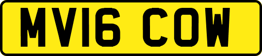 MV16COW