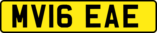 MV16EAE