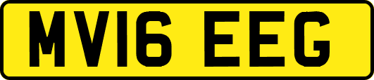 MV16EEG