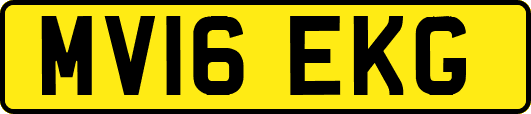 MV16EKG