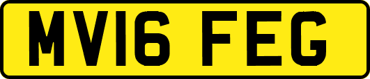 MV16FEG