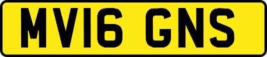 MV16GNS