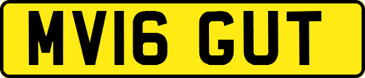 MV16GUT