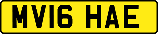 MV16HAE