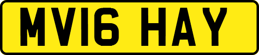 MV16HAY