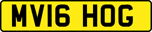 MV16HOG