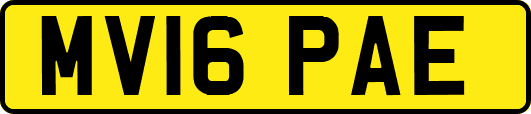 MV16PAE
