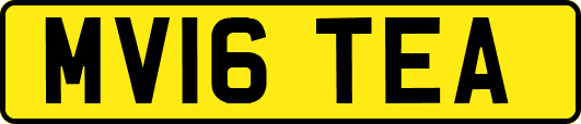 MV16TEA