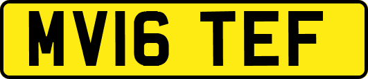 MV16TEF