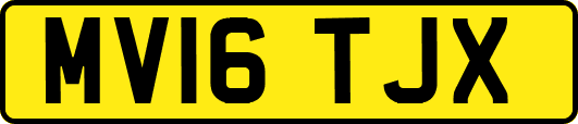 MV16TJX