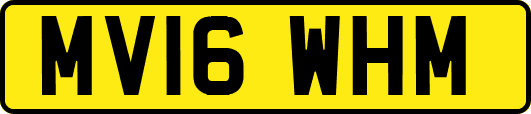 MV16WHM