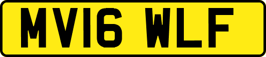 MV16WLF