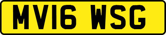 MV16WSG