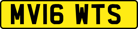 MV16WTS