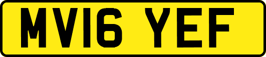 MV16YEF