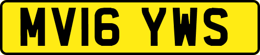 MV16YWS