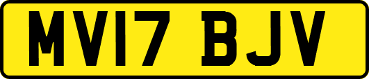 MV17BJV