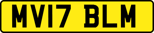 MV17BLM
