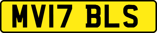 MV17BLS