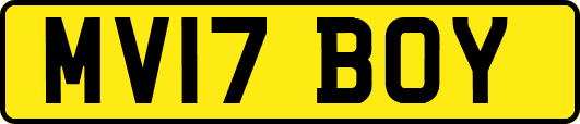MV17BOY