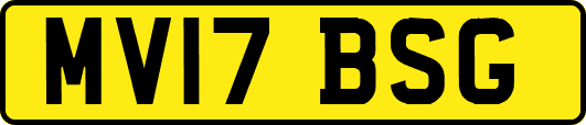 MV17BSG