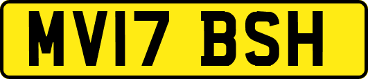 MV17BSH