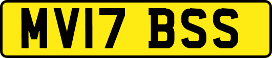 MV17BSS