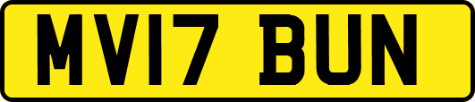 MV17BUN