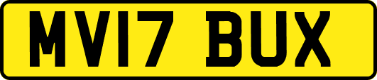 MV17BUX