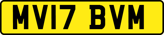 MV17BVM