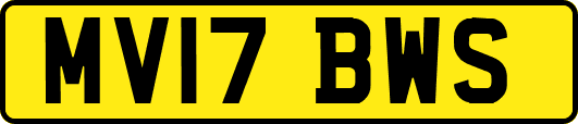 MV17BWS