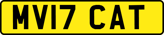 MV17CAT