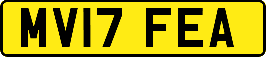 MV17FEA
