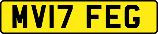 MV17FEG