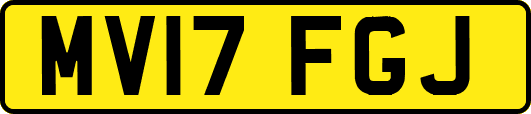 MV17FGJ